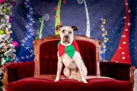 Foster Sylvester-0941