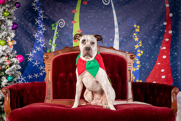 Foster Sylvester-0941
