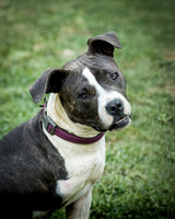 Foster Maya-0224