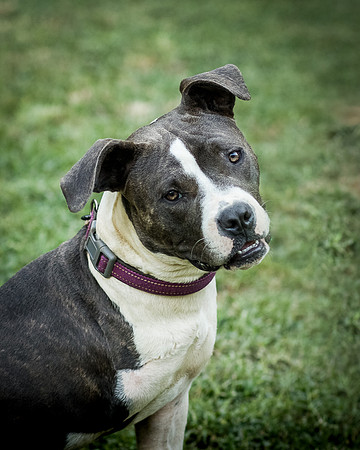 Foster Maya-0224