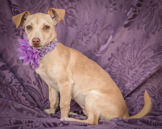 Foster Beatriz-7821