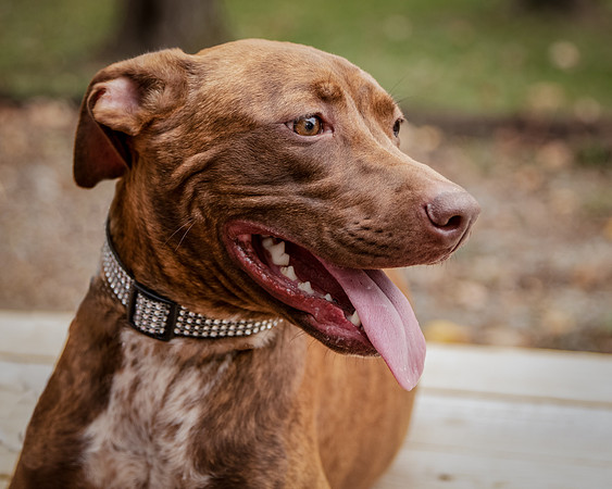 Foster Caitlyn4883