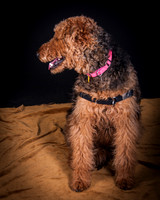Dixie Lou-5641