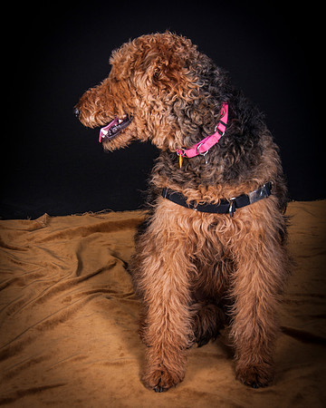 Dixie Lou-5641