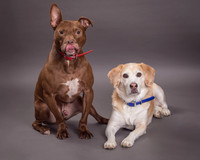 Red and Max Griner-7634