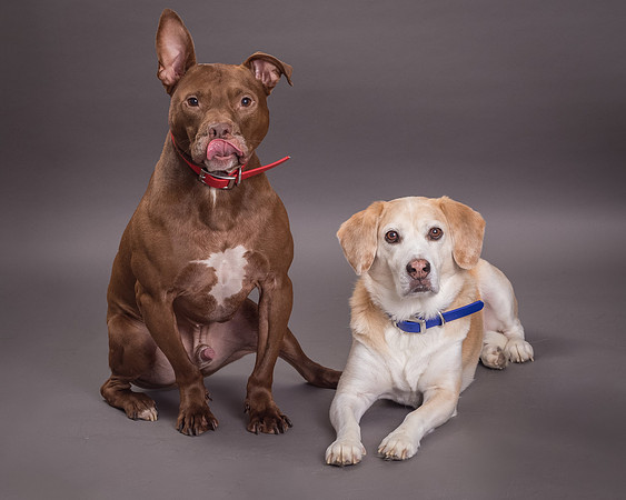 Red and Max Griner-7634