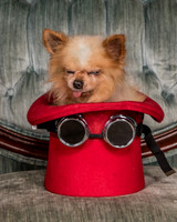 Foster Horace-0790