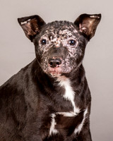 Foster Kendal-8746