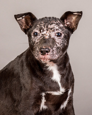 Foster Kendal-8746