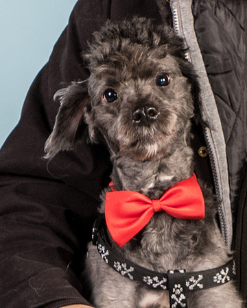 Foster Oakland-5582