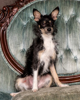 Foster Riley-4810