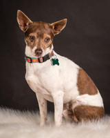 Foster Gus-0302