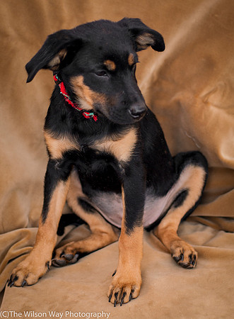 Foster Holister-9735