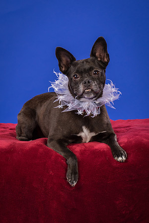Slattery-Bella-0004