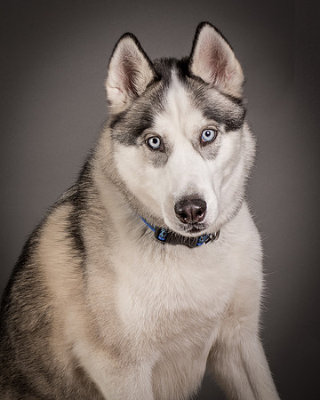 Foster Aspen-7645