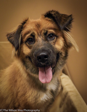 Foster Blair-0633