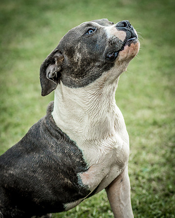 Foster Maya-0379
