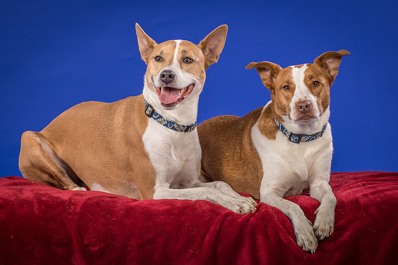 Urschel-Ethel and Ruby-9726
