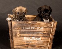 Fosters Pebbles and Gazoo-1708