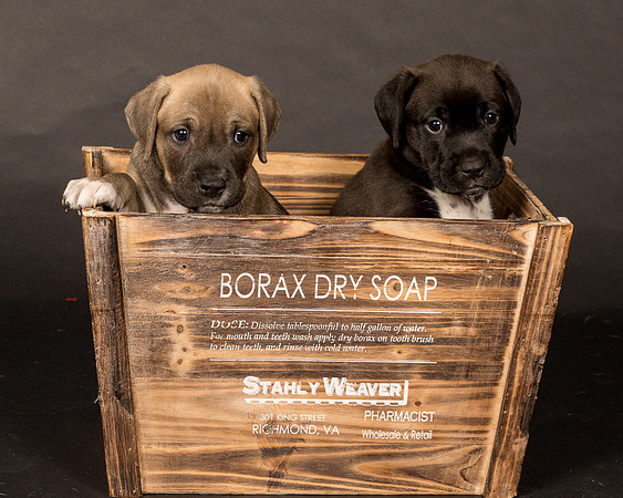 Fosters Pebbles and Gazoo-1708