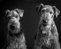 Bronson & Higgins