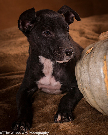 Foster Beryl-6282