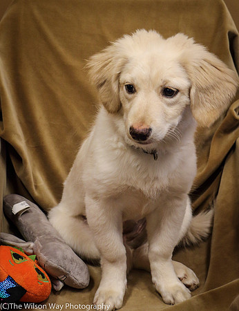 Foster Stephanie-0419