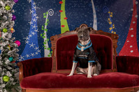 Holiday Photos-6806