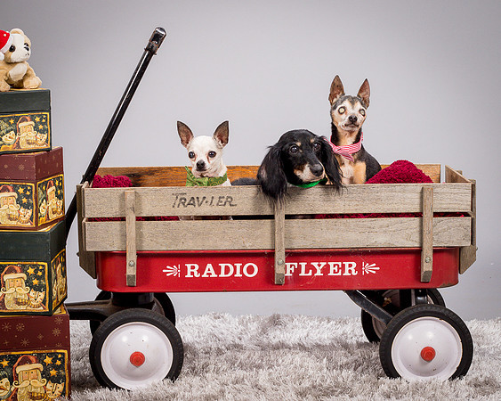 Foster Hospice Gang-3854
