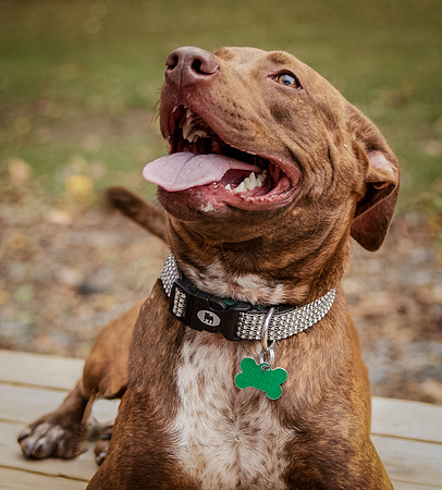 Foster Caitlyn4843