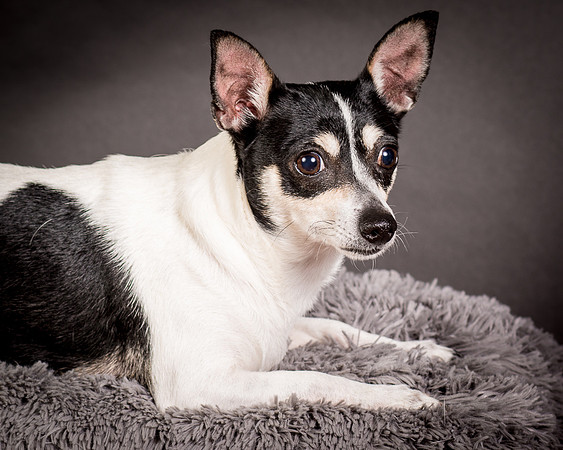 Foster Richa-0496