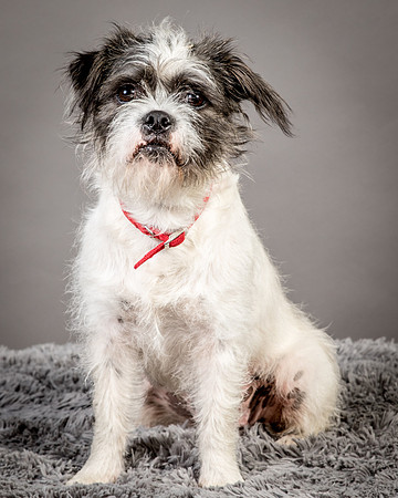 Foster Leeza-2678