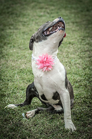 Foster Maya-0322