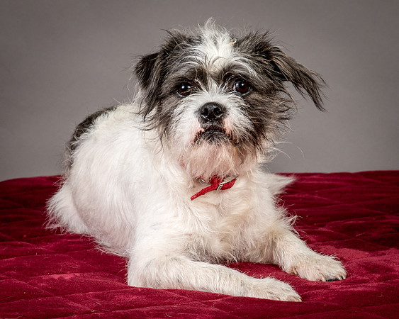 Foster Leeza-2749