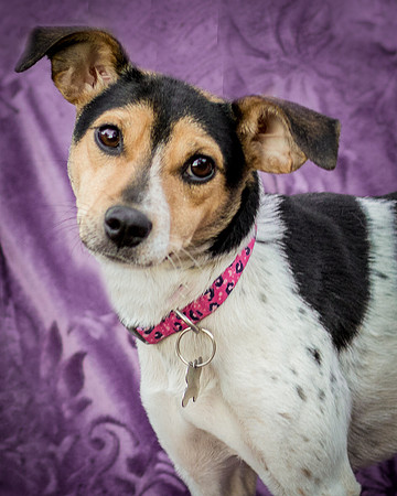 Foster Buffy-5625
