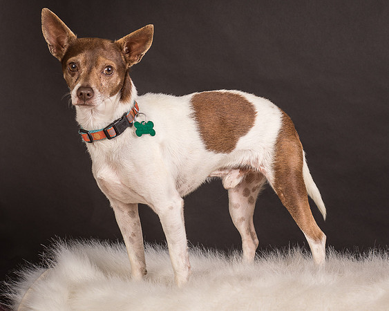 Foster Gus-0322