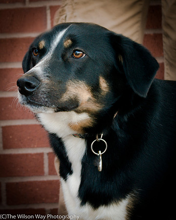 Foster Cady-8841