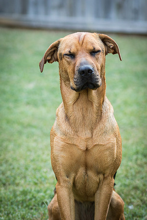 Foster Maya-0394