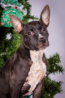 Foster Seymour-3646