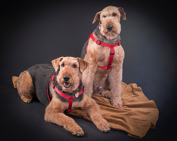 Martha May & Smitty-5192