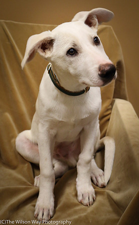 Foster Franco-1426