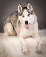 Foster Aspen-7593