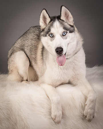 Foster Aspen-7593