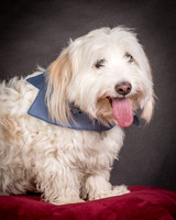 Foster Frosty-0543