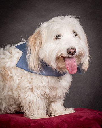 Foster Frosty-0543