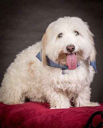 Foster Frosty-0559