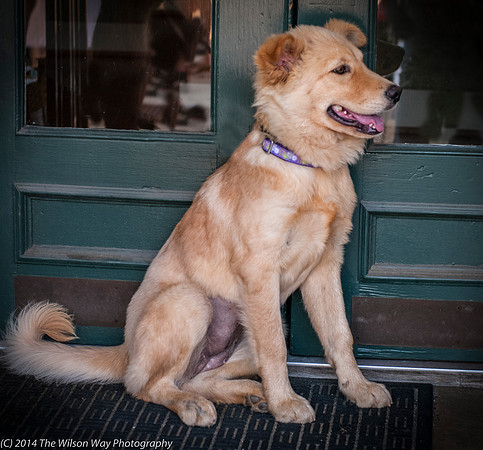 Foster Presha-9446
