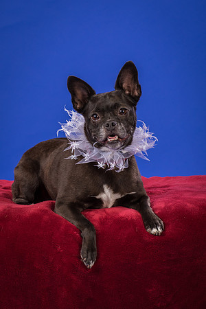 Slattery-Bella-0003