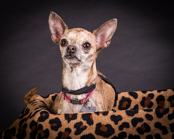 Foster Selina-1148