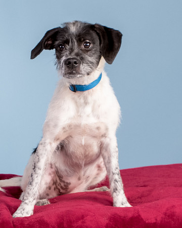 Foster Billie-8178